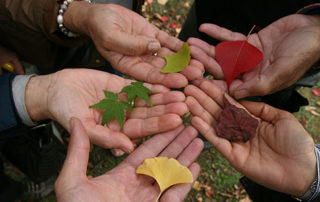 Multicultural Málaga